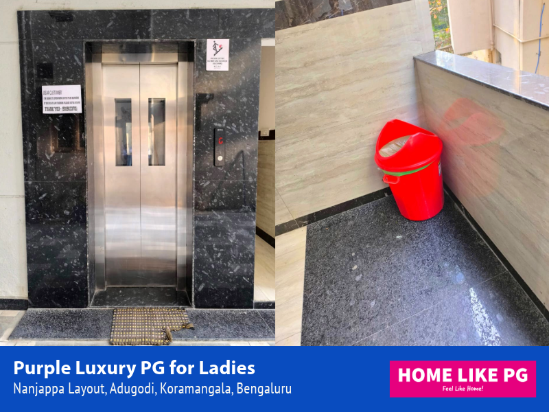 Home Like PG | Home Like PG Pink