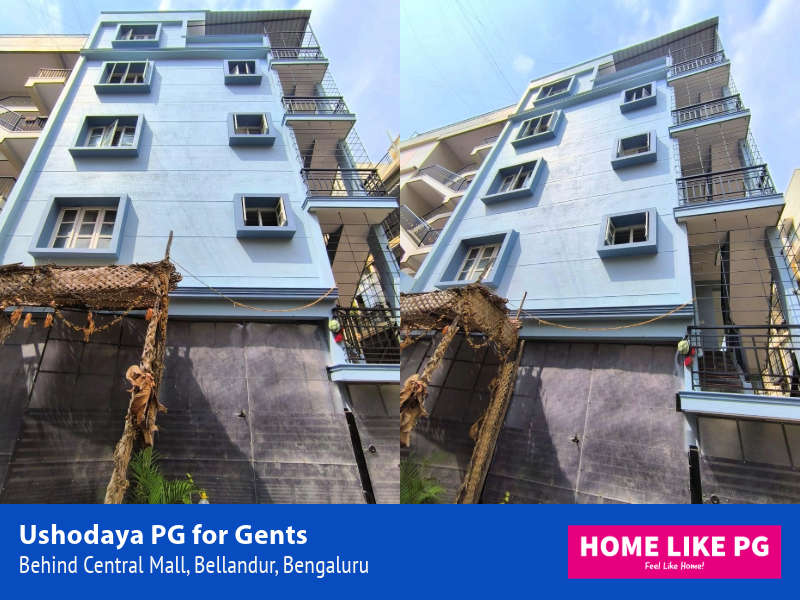 Home Like PG | Home Like PG Centro