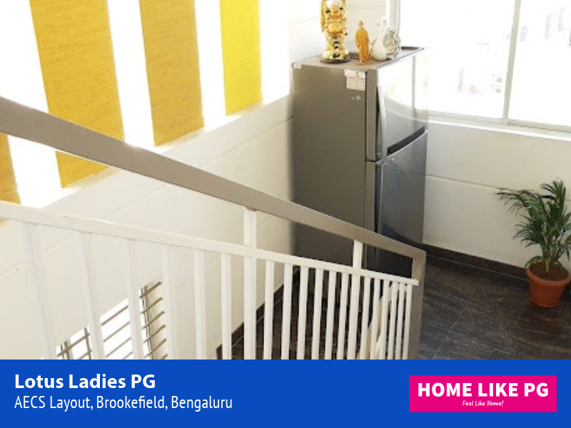 Home Like PG | Lotus Ladies PG