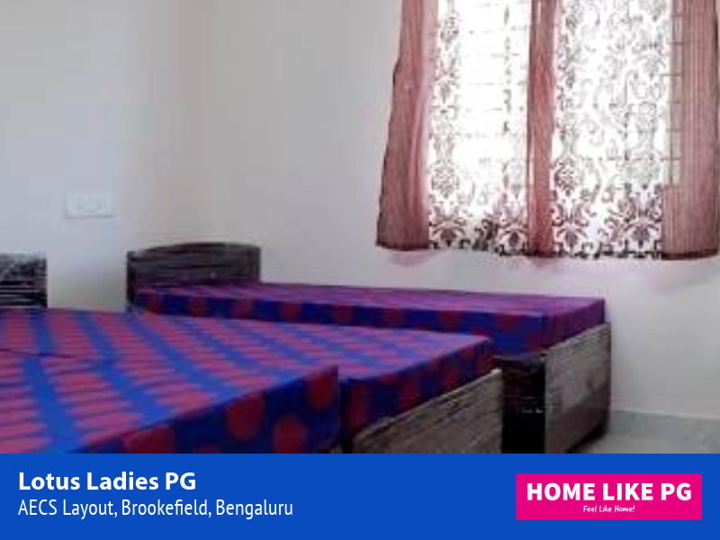 Home Like PG | Lotus Ladies PG