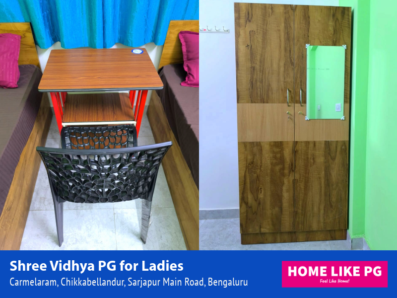 Home Like PG | Shree Vidhya PG for Ladies
