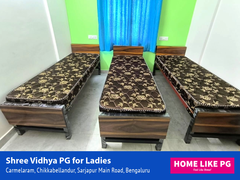 Home Like PG | Shree Vidhya PG for Ladies