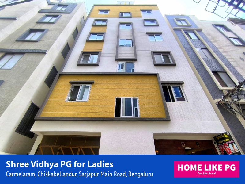 Home Like PG | Shree Vidhya PG for Ladies