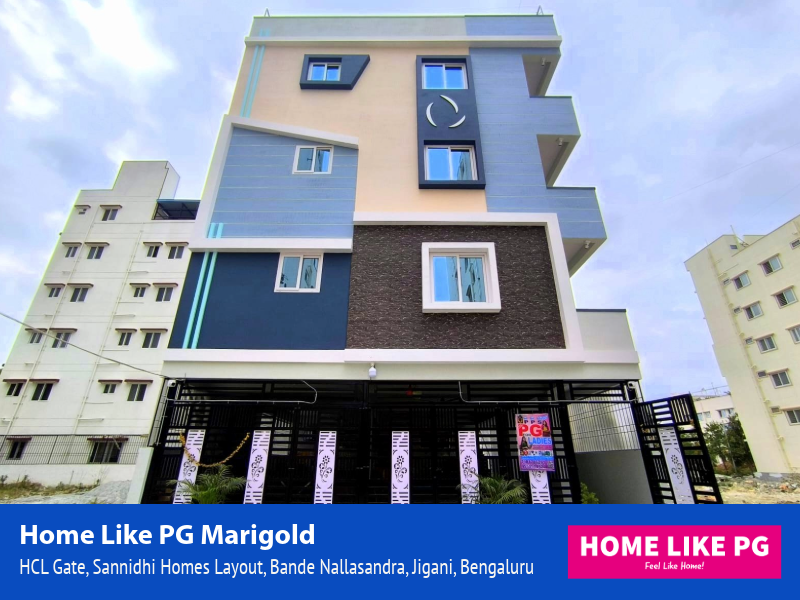 Home Like PG | Home Like PG Marigold for Gilrs/Ladies