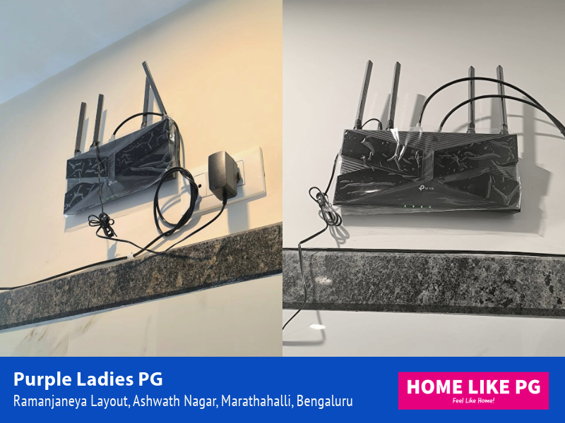 Home Like PG | Purple Ladies PG