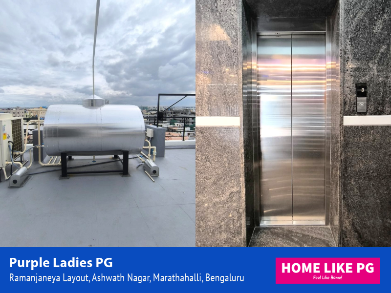 Home Like PG | Purple Ladies PG