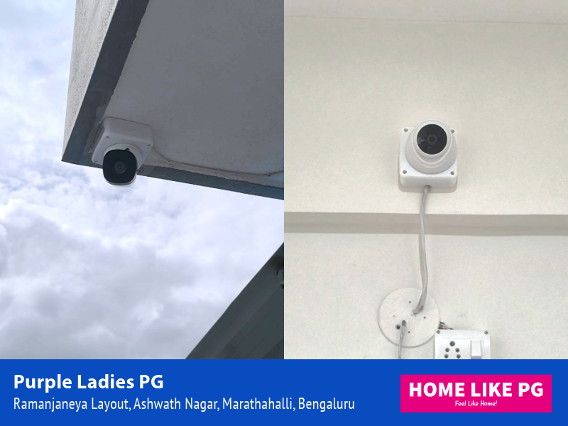 Home Like PG | Purple Ladies PG