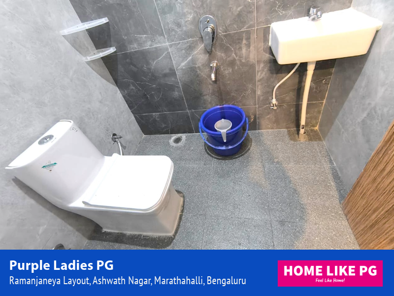 Home Like PG | Purple Ladies PG