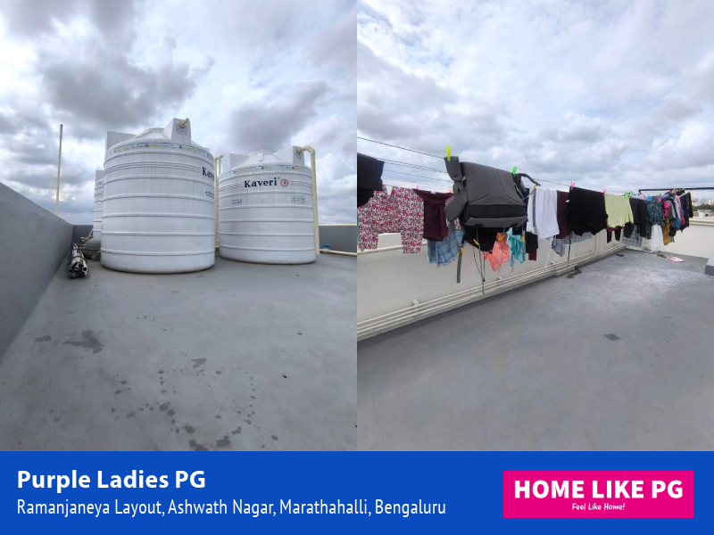 Home Like PG | Purple Ladies PG