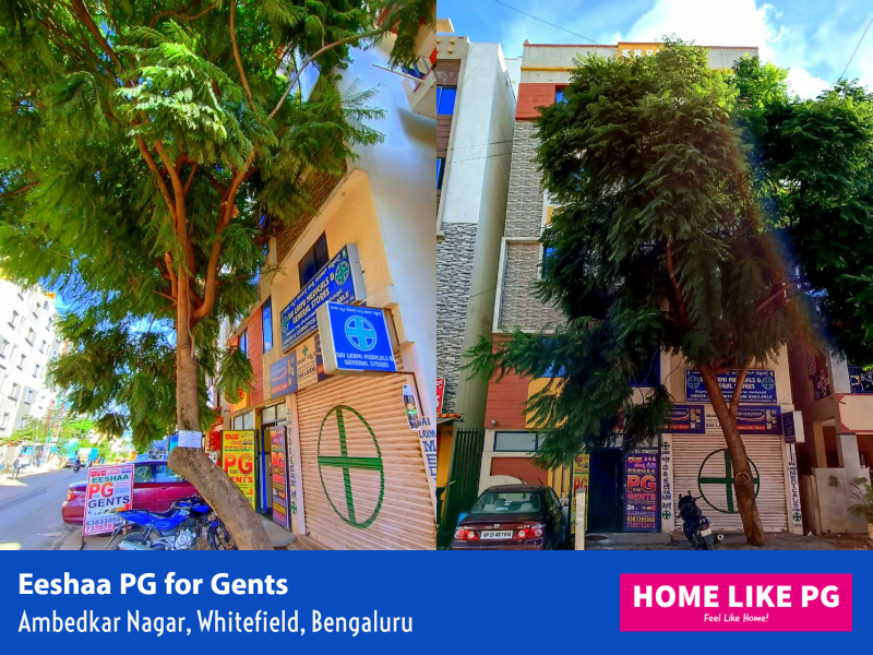 Home Like PG | Eeshaa PG for Gents