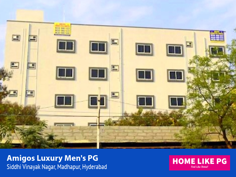Home Like PG | Amigos Luxury Men's PG