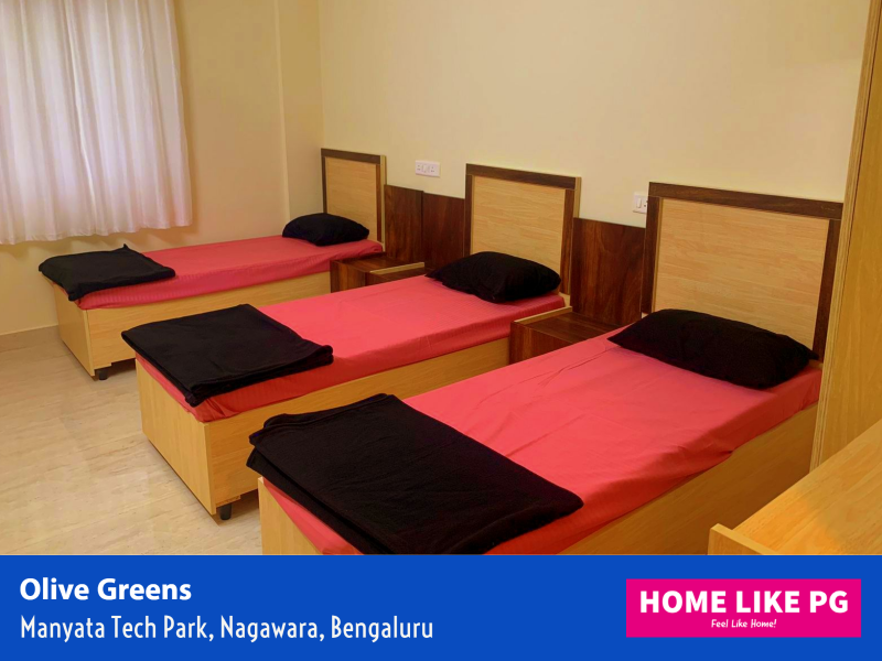 Home Like PG Olive Greens