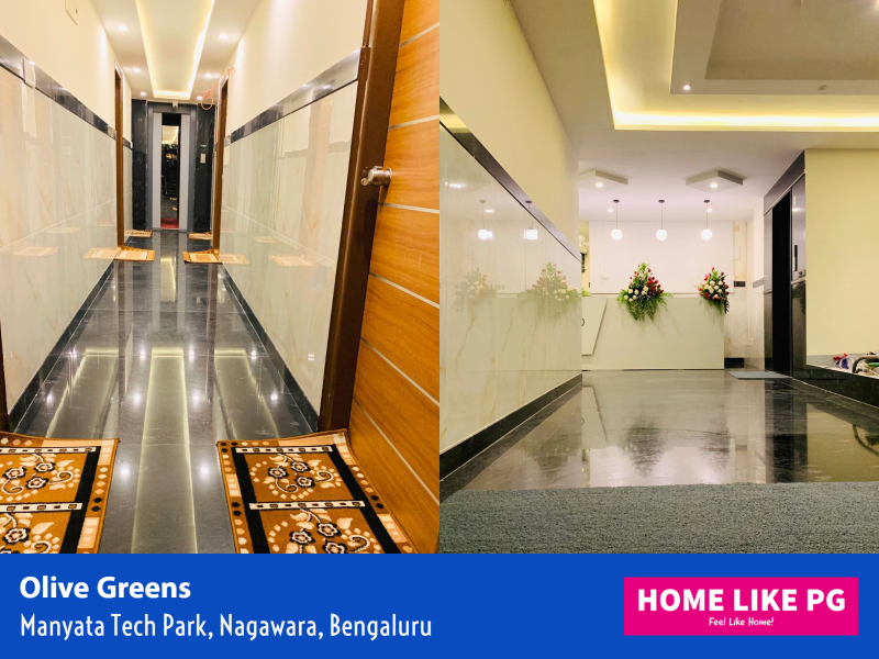 Home Like PG Olive Greens