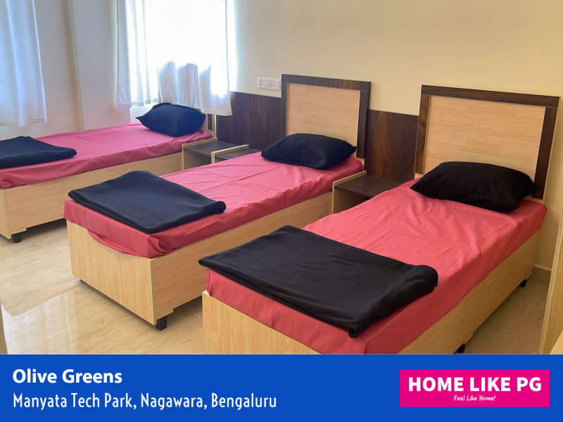 Home Like PG Olive Greens