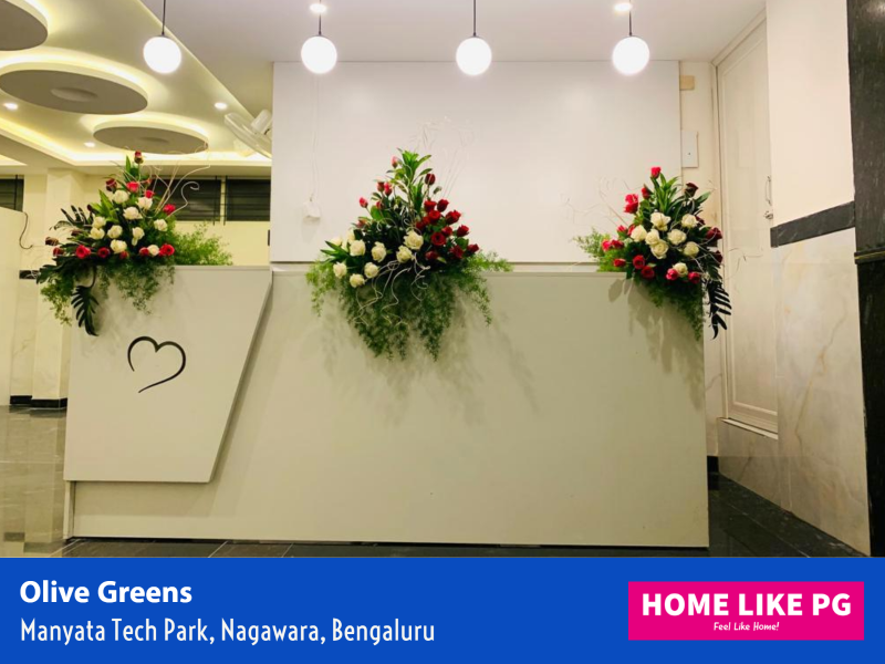 Home Like PG Olive Greens